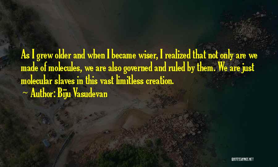 I Just Realized Quotes By Biju Vasudevan