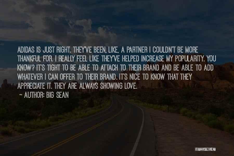 I Just Really Like You Quotes By Big Sean
