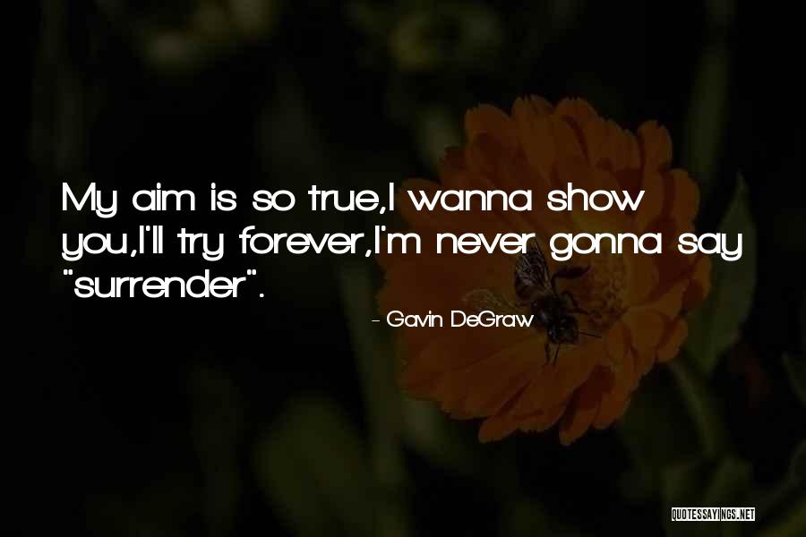 I Just Wanna Be With You Forever Quotes By Gavin DeGraw