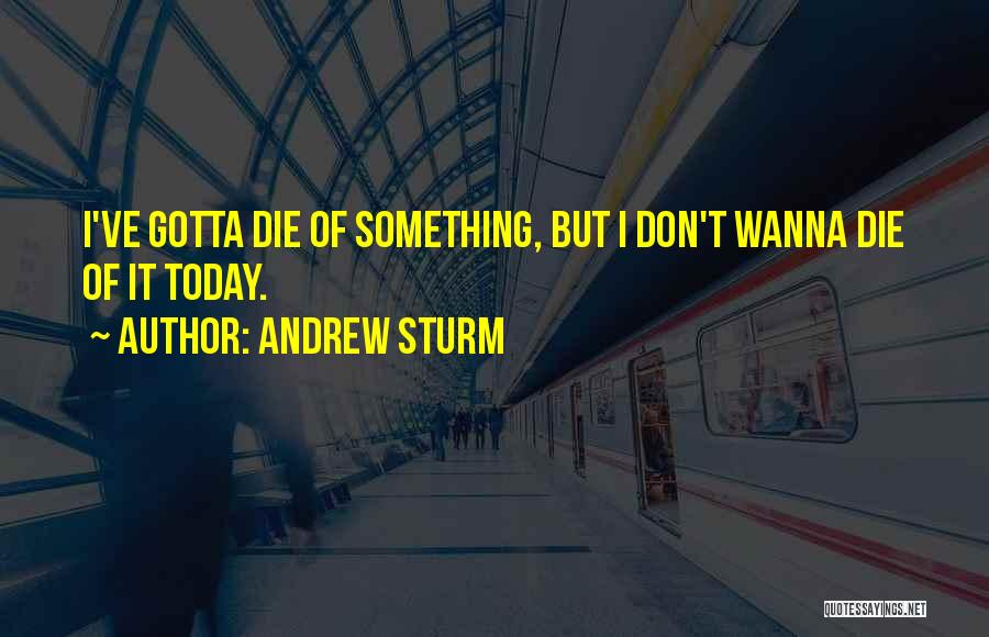 I Just Wanna Die Quotes By Andrew Sturm