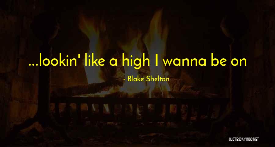 I Just Wanna Get High Quotes By Blake Shelton