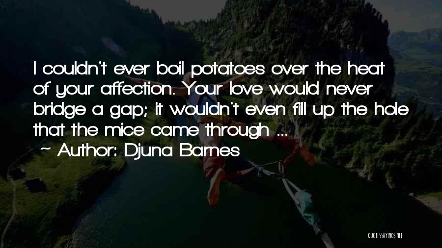 I Just Want Affection Quotes By Djuna Barnes
