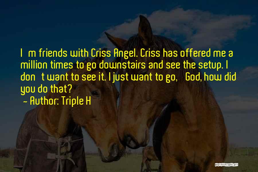 I Just Want Friends Quotes By Triple H