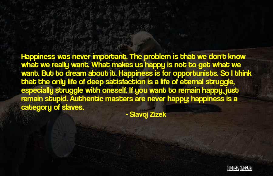 I Just Want Happiness Quotes By Slavoj Zizek