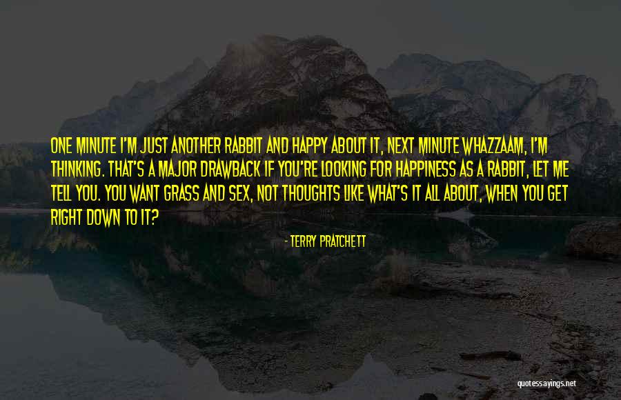 I Just Want Happiness Quotes By Terry Pratchett