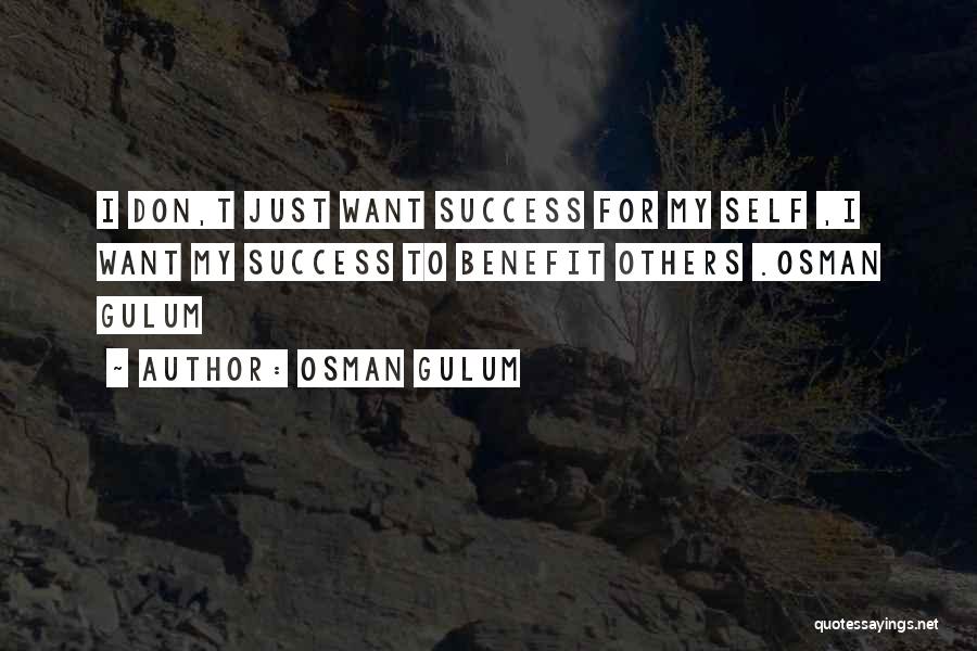 I Just Want Success Quotes By Osman Gulum