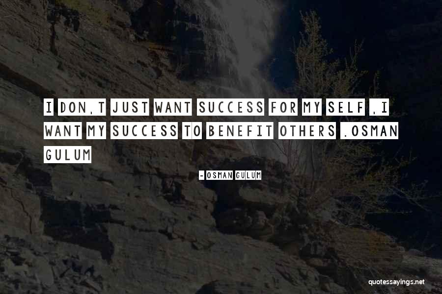 I Just Want Success Quotes By Osman Gulum