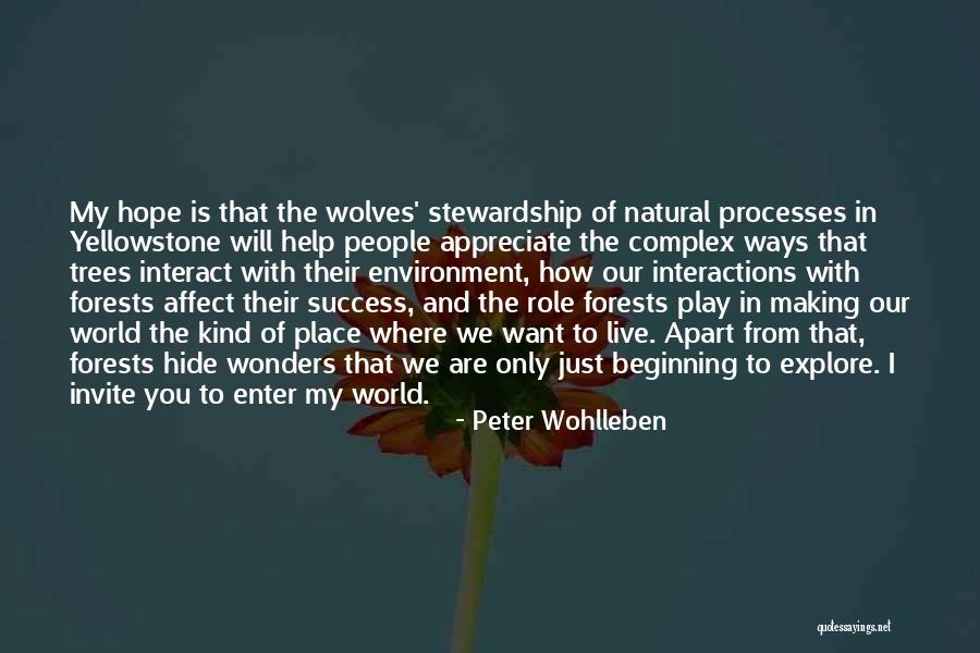 I Just Want Success Quotes By Peter Wohlleben