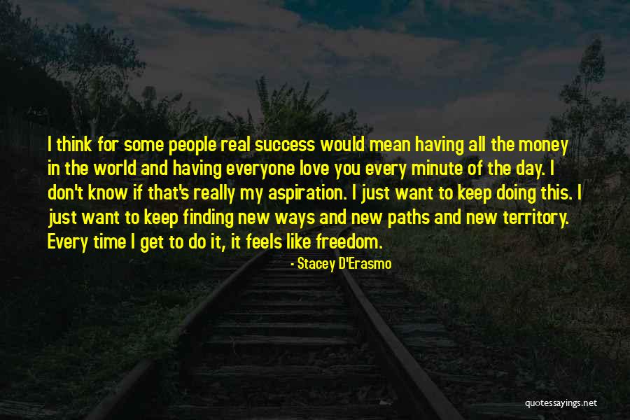 I Just Want Success Quotes By Stacey D'Erasmo