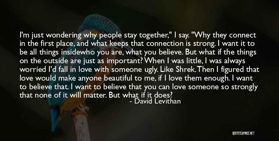 I Just Want To Be Beautiful Quotes By David Levithan