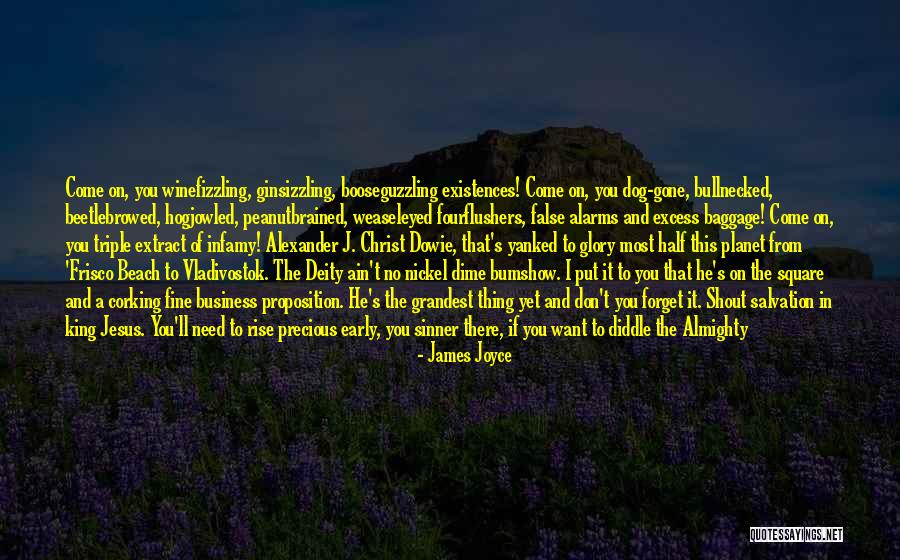 I Just Want To Forget You Quotes By James Joyce