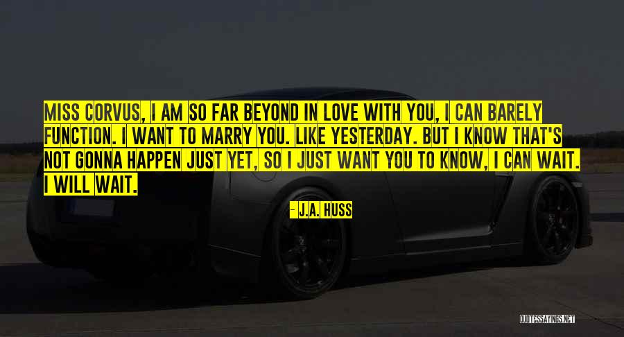 I Just Want To Marry You Quotes By J.A. Huss