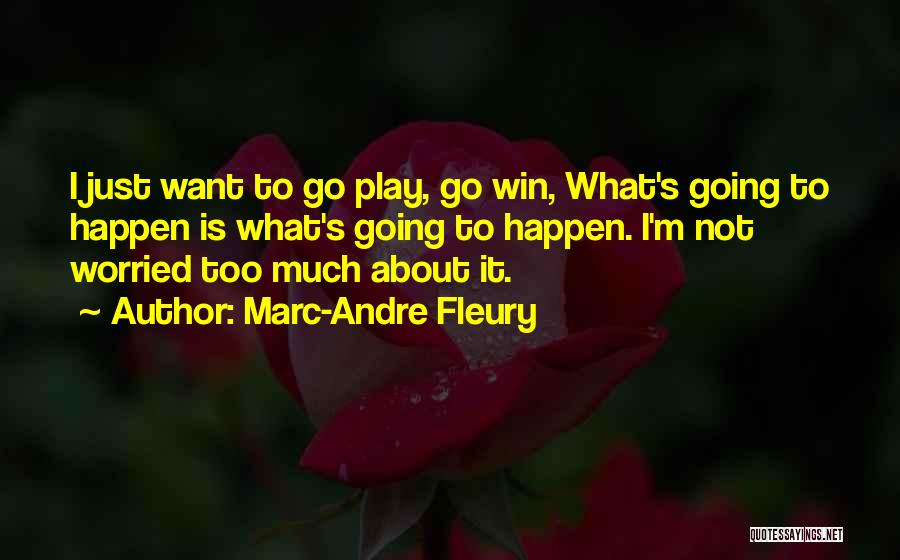 I Just Want To Win Quotes By Marc-Andre Fleury