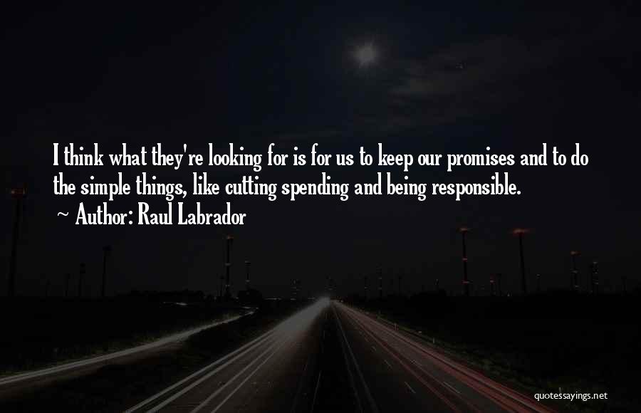 I Keep Promises Quotes By Raul Labrador