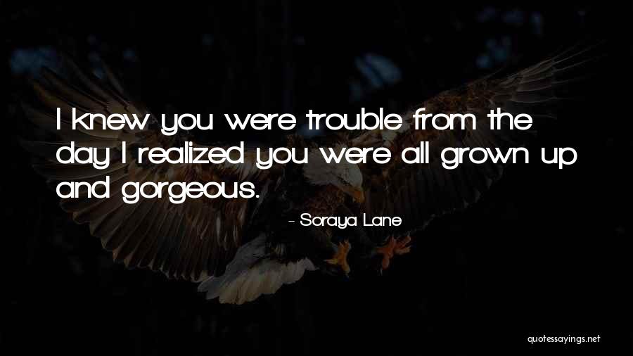 I Knew You Were Trouble Quotes By Soraya Lane I Knew You Were Trouble Quotes By Soraya Lane