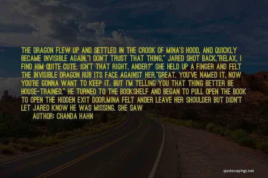 I Know Better Now Quotes By Chanda Hahn