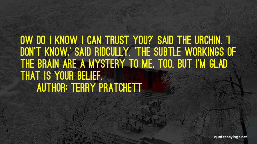 I Know I Can Trust You Quotes By Terry Pratchett