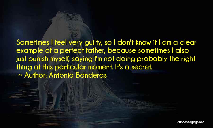I Know I ' M Not Perfect Quotes By Antonio Banderas