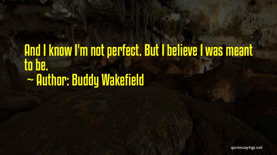 I Know I ' M Not Perfect Quotes By Buddy Wakefield