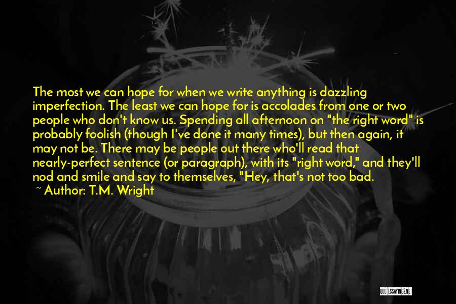 I Know I ' M Not Perfect Quotes By T.M. Wright