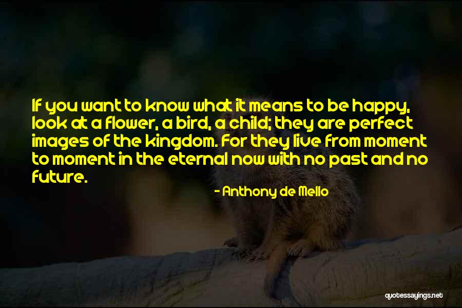 I Know I May Not Be Perfect Quotes By Anthony De Mello I Know I May Not Be Perfect Quotes By Anthony De Mello