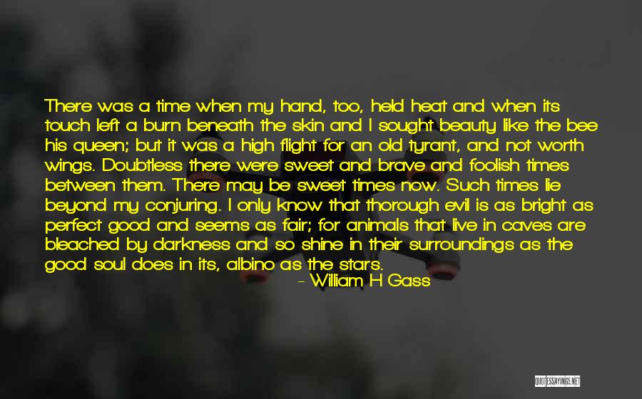 I Know I May Not Be Perfect Quotes By William H Gass I Know I May Not Be Perfect Quotes By William H Gass