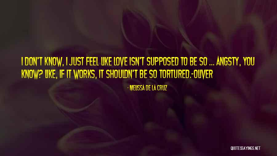 I Know I Shouldn't Love You Quotes By Melissa De La Cruz I Know I Shouldn't Love You Quotes By Melissa De La Cruz