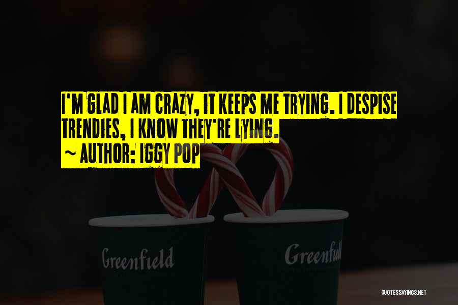 I Know I'm Crazy Quotes By Iggy Pop