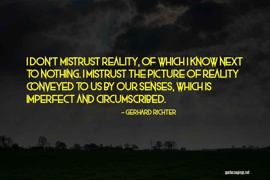 I Know I'm Imperfect Quotes By Gerhard Richter