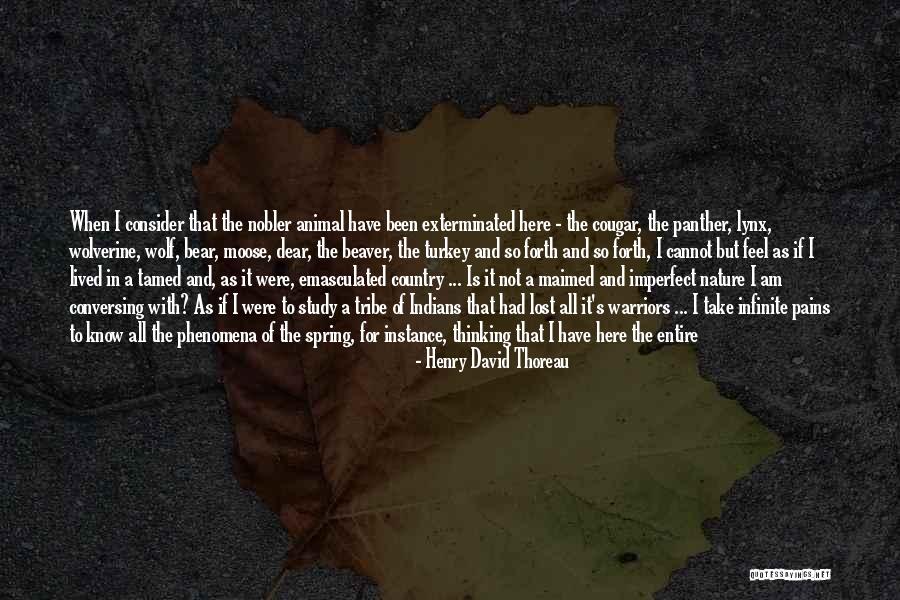 I Know I'm Imperfect Quotes By Henry David Thoreau