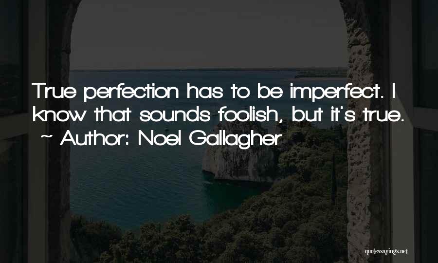 I Know I'm Imperfect Quotes By Noel Gallagher