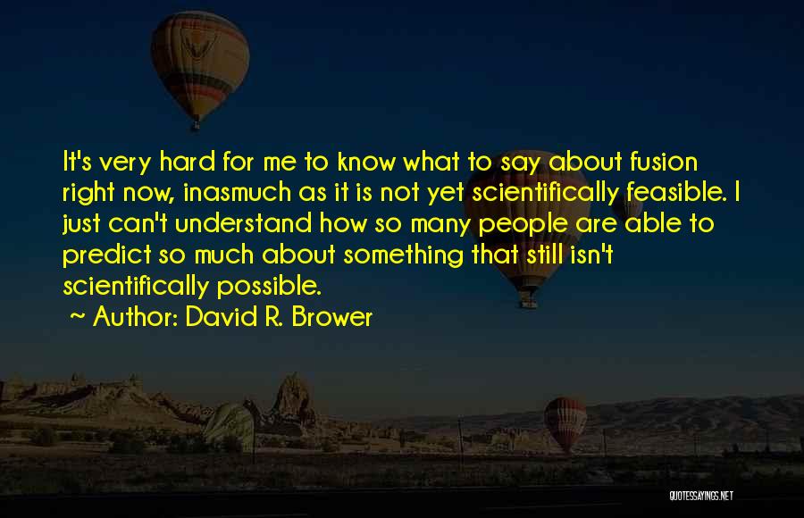 I Know It's Hard Now Quotes By David R. Brower