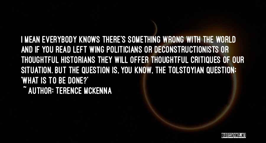 I Know Something Is Wrong Quotes By Terence McKenna