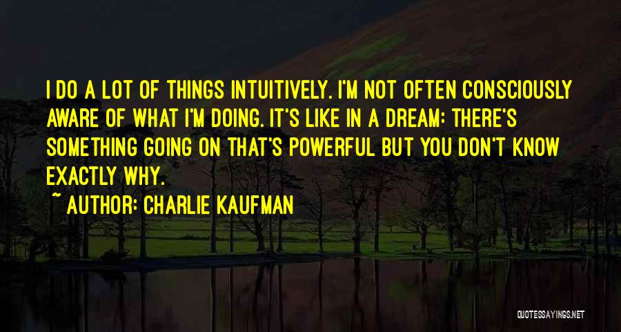 I Know There's Something Going On Quotes By Charlie Kaufman