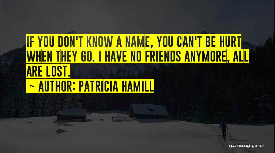 I Know You Are Hurt Quotes By Patricia Hamill