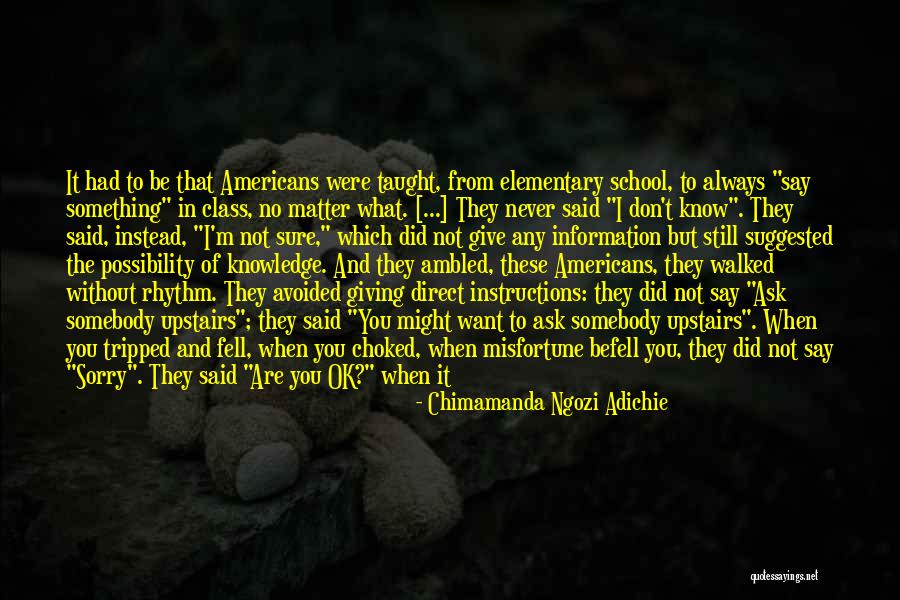 I Know You Are Not Ok Quotes By Chimamanda Ngozi Adichie I Know You Are Not Ok Quotes By Chimamanda Ngozi Adichie