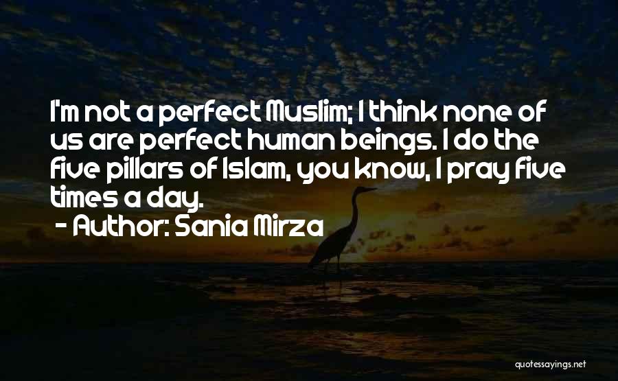 I Know You Are Not Perfect Quotes By Sania Mirza