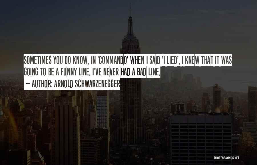 I Know You Lied Quotes By Arnold Schwarzenegger