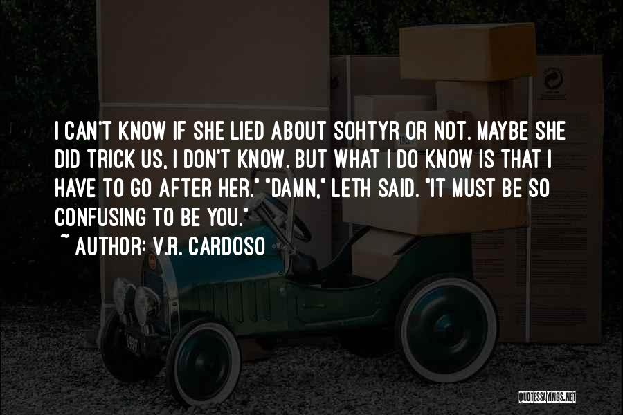 I Know You Lied Quotes By V.R. Cardoso