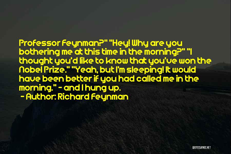 I Know You Sleeping Quotes By Richard Feynman