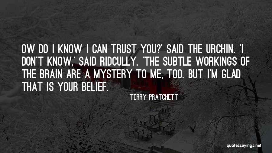 I Know You Trust Me Quotes By Terry Pratchett