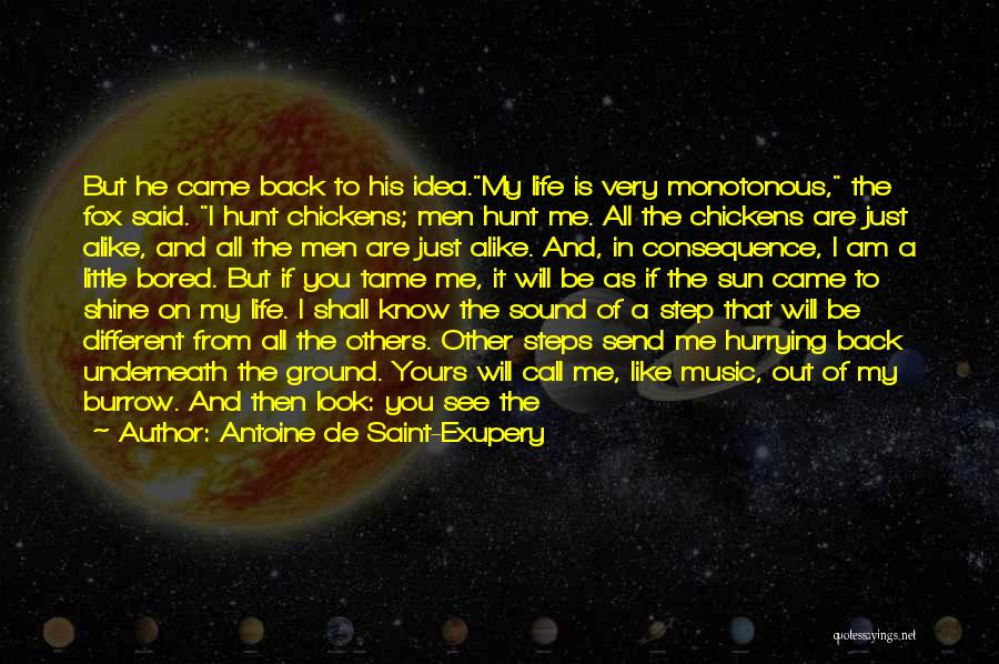 I Know You Will Be Back Quotes By Antoine De Saint-Exupery