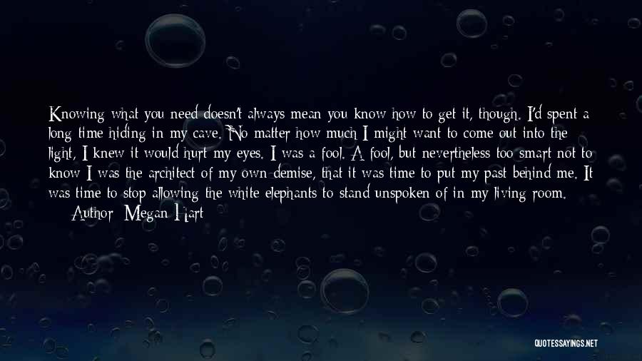 I Know You're Hiding Something Quotes By Megan Hart