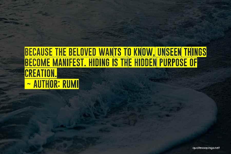 I Know You're Hiding Something Quotes By Rumi