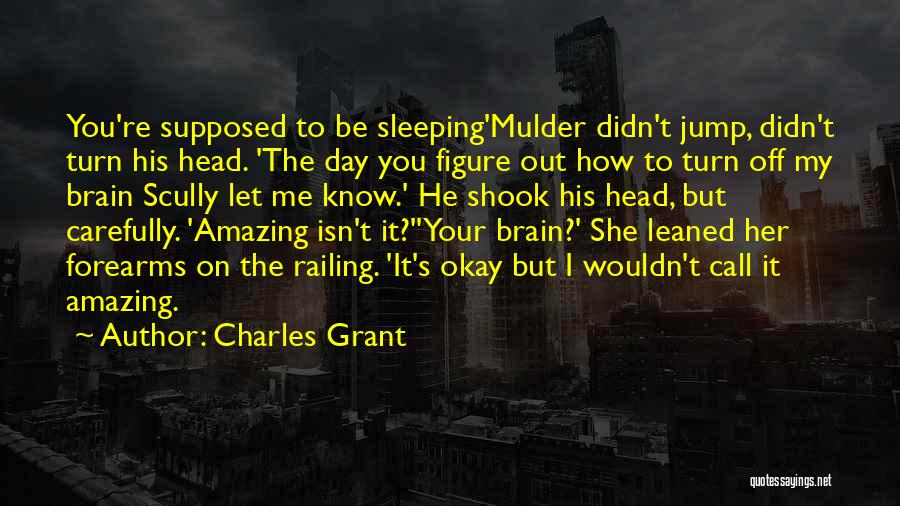 I Know You're Sleeping But Quotes By Charles Grant