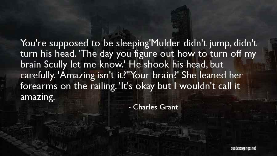 I Know You're Sleeping Quotes By Charles Grant