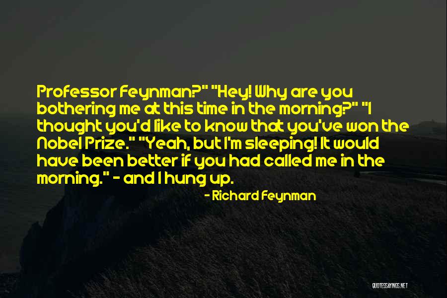 I Know You're Sleeping Quotes By Richard Feynman