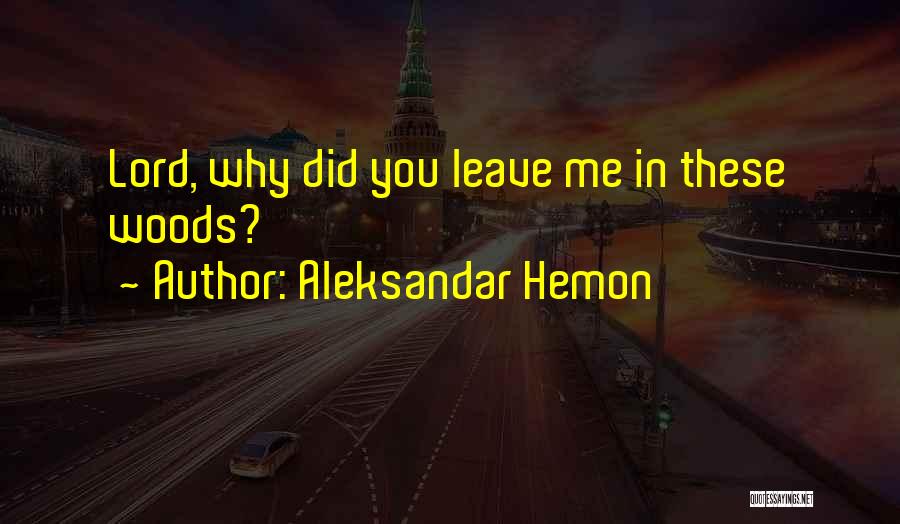 I Leave It All Up To You Lord Quotes By Aleksandar Hemon