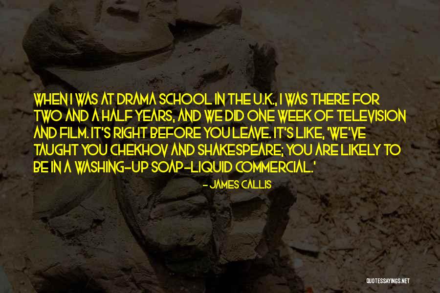 I Leave You Quotes By James Callis