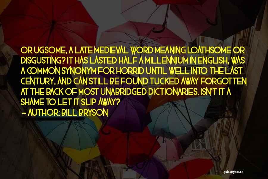 I Let You Slip Away Quotes By Bill Bryson